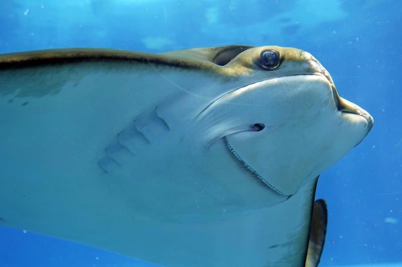 Underwater world